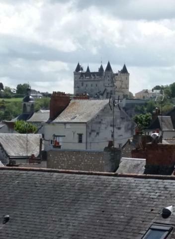 Appt 2Eme Etage Sur L'Ile De Saumur Dış mekan fotoğraf